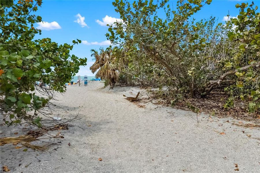 Natural landscape and outdoor views near  in Port Charlotte (Image 9).