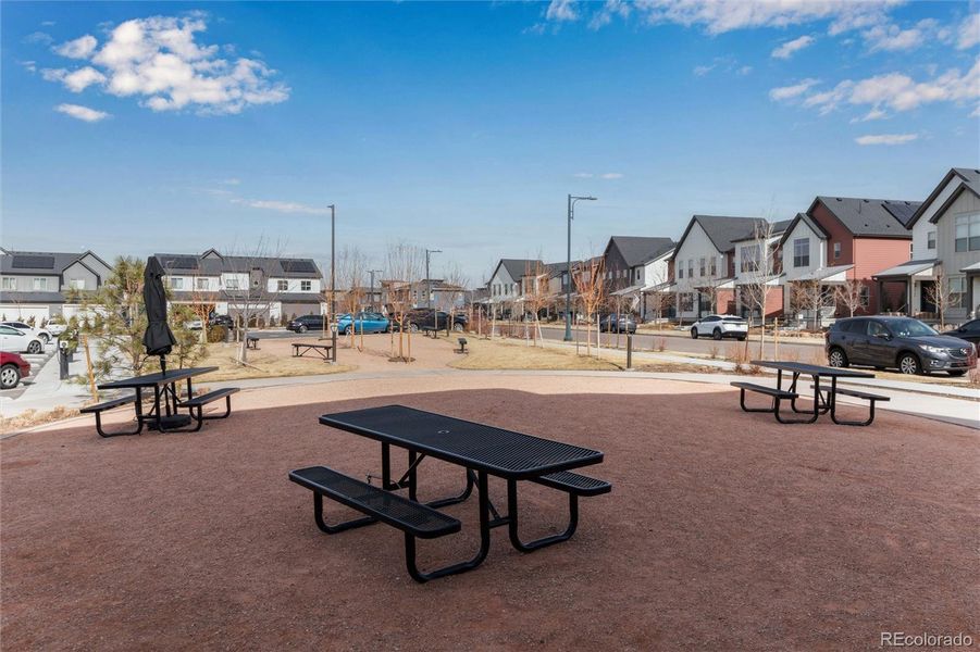 Outdoor grounds with picnic tables