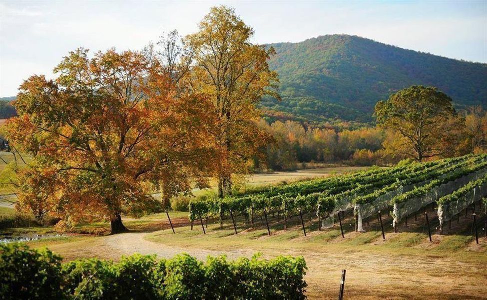 Natural landscape and outdoor views near  in Ellijay (Image 26).