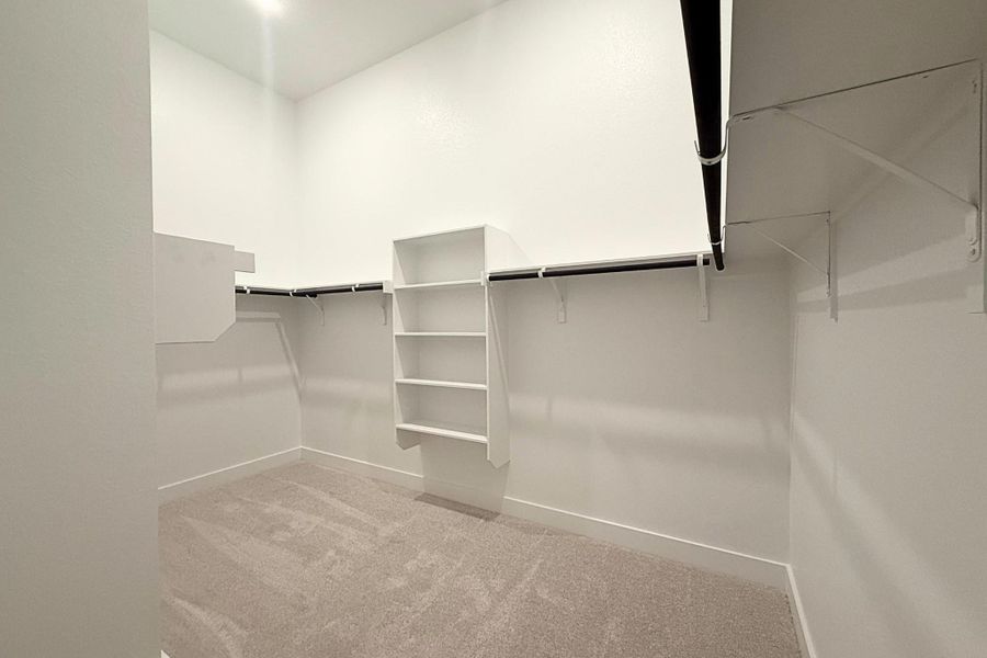 Walk-in closet featuring light gray carpet flooring, white painted walls, white built-in shelving, and black hanging rods