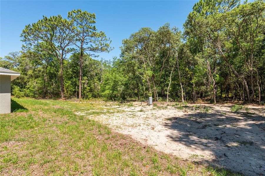 Natural landscape and outdoor views near  in Dunnellon (Image 57).
