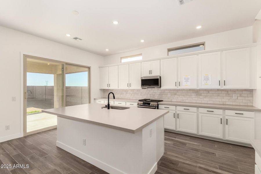 15 - Wollemi 43513 15 - Wollemi 43513