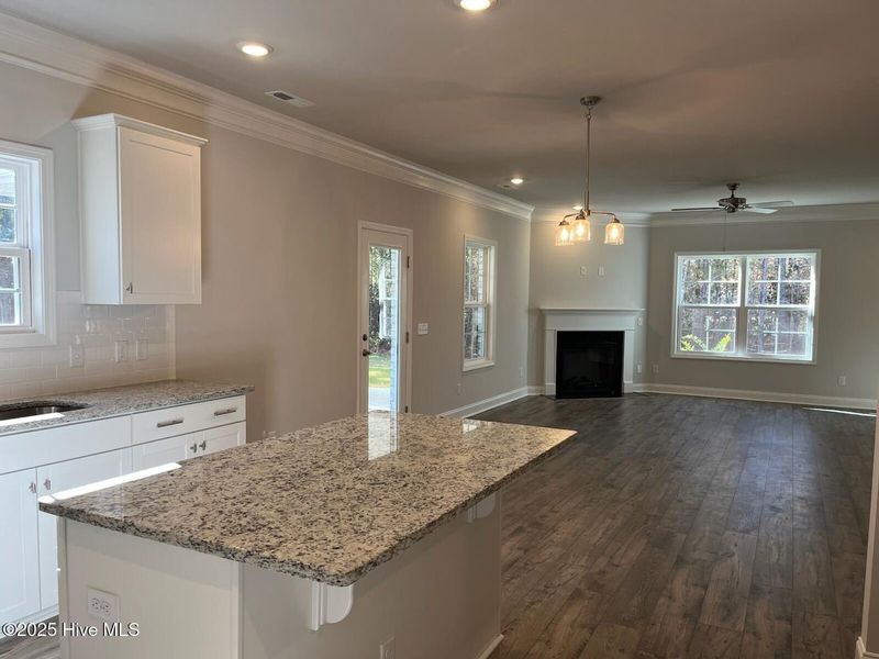 Image 35 of a home in Palmetto Creek.