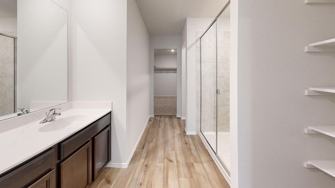Full bath featuring a spacious closet, vanity, light wood-style floors, and a shower stall