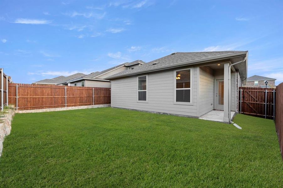 26. 3118 Yellow Pine - Back (2)