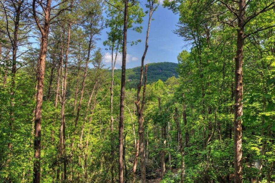 Natural landscape and outdoor views near  in Blue Ridge (Image 51).