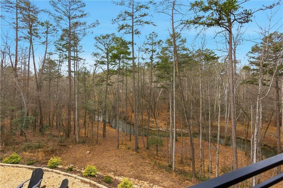 Natural landscape and outdoor views near  in Blue Ridge (Image 57).