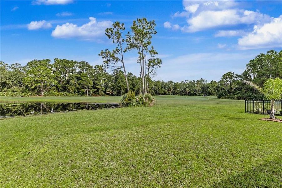 Natural landscape and outdoor views near in Daytona Beach (Image 49). Natural landscape and outdoor views near in Daytona Beach (Image 49).