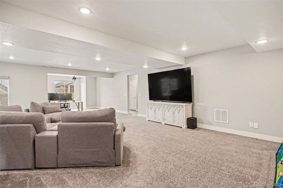 Basement/ Media Room
