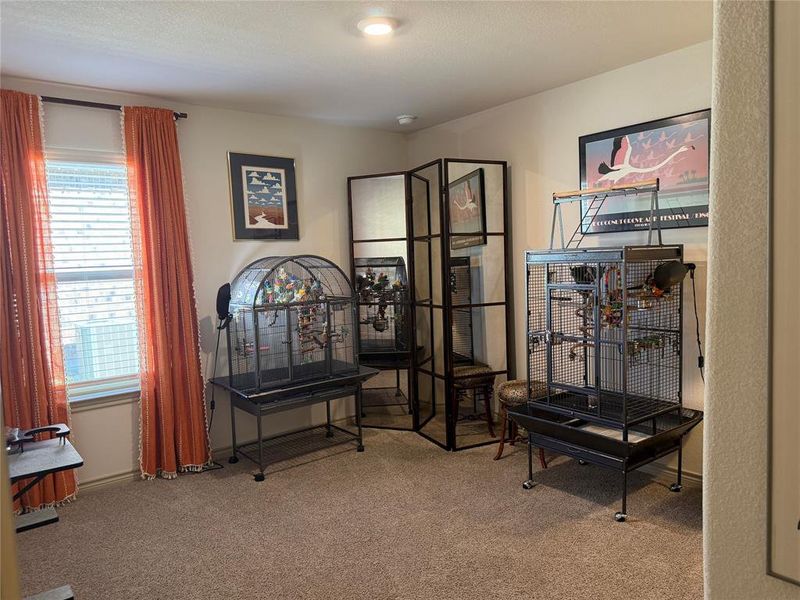 3rd Bedroom 3rd Bedroom