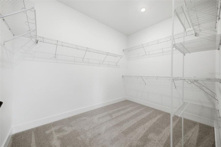 Spacious, unfurnished interior of a new home in , Tampa (Image 43).