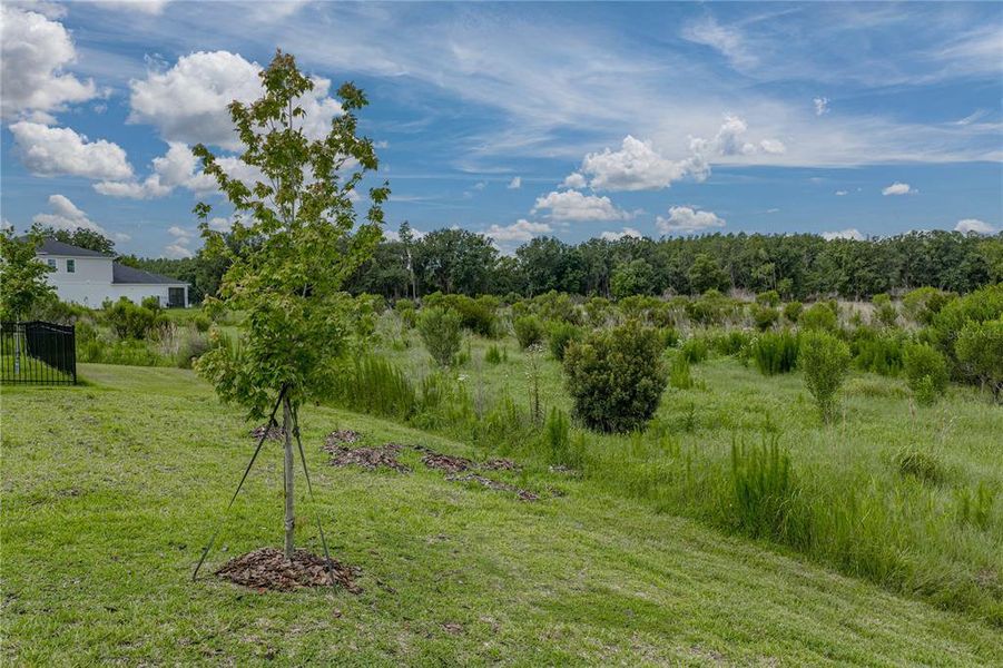 Natural landscape and outdoor views near  in Riverview (Image 54).