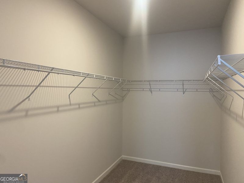 Spacious, unfurnished interior of a new home in Trellis Park, Hampton (Image 21).