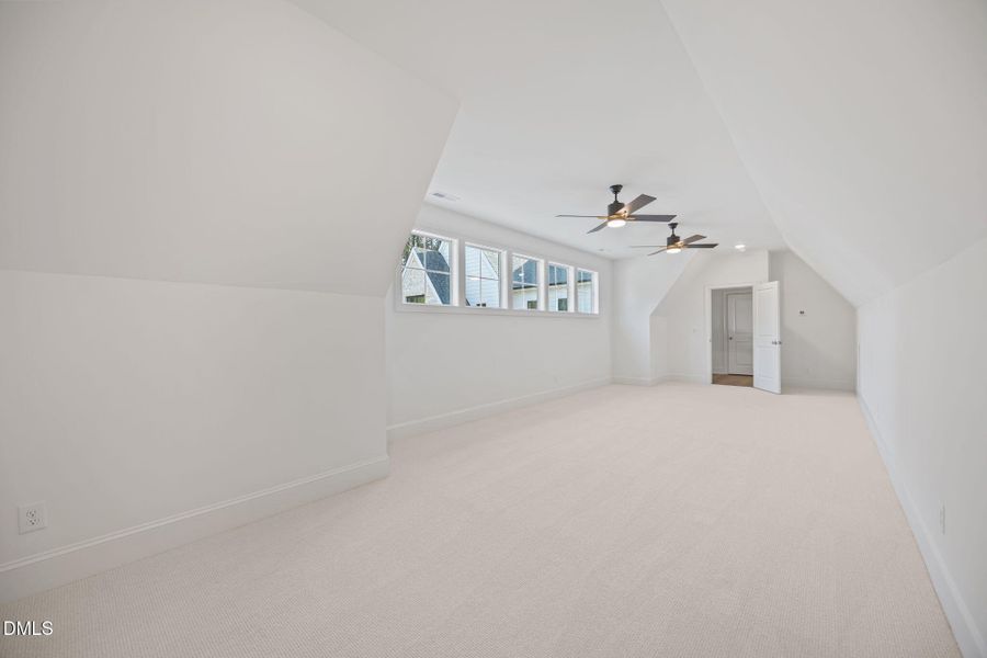 55-web-or-mls-IMG_1629