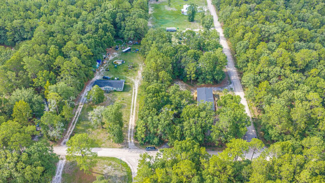 Natural landscape and outdoor views near  in Walterboro (Image 59).