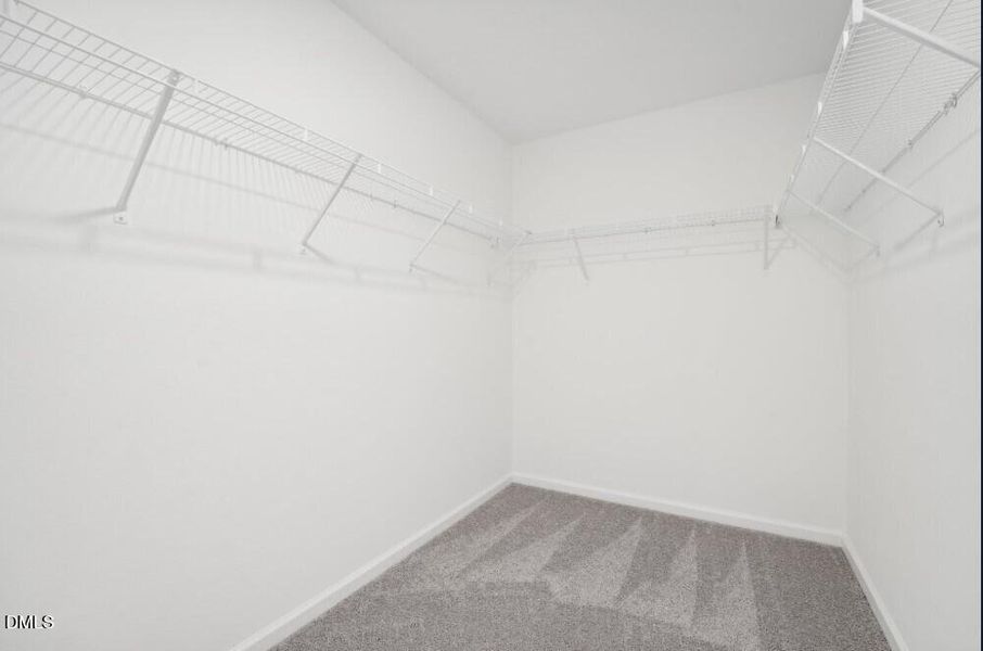 The Pulsar Walk In Closet