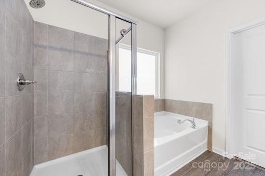 Furnished interior view inside a new home in Wilora Pond, Charlotte (Image 13). Furnished interior view inside a new home in Wilora Pond, Charlotte (Image 13).