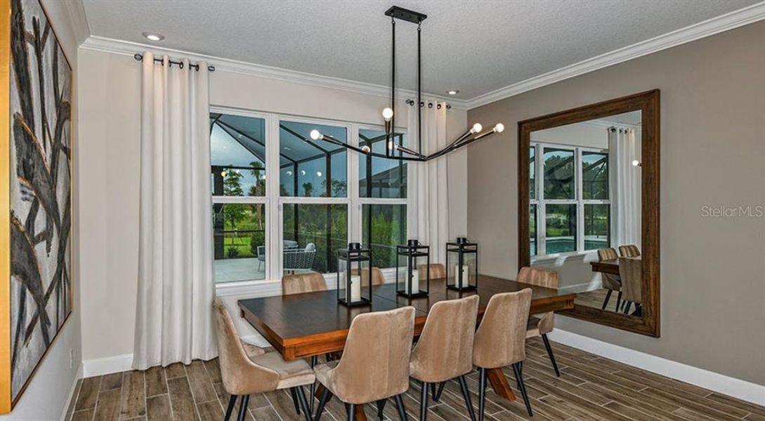 REPRESENTATIVE PHOTOS