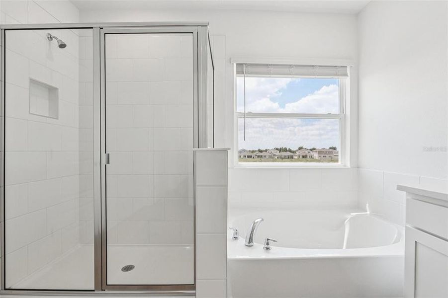 Furnished interior view inside a new home in , Lakeland (Image 9).