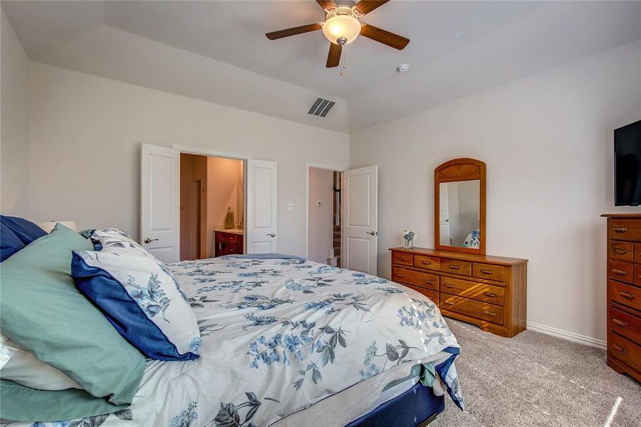 Carpeted bedroom with ensuite bathroom, vaulted ceiling, and ceiling fan