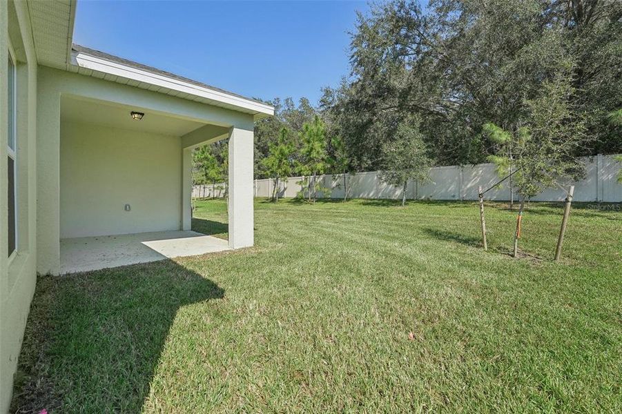 Rear Yard / Lanai