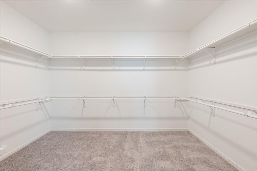 Spacious, unfurnished interior of a new home in Dellrose, Hockley (Image 21). Spacious, unfurnished interior of a new home in Dellrose, Hockley (Image 21).