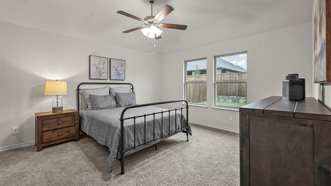 Carpeted room featuring light-toned walls, a ceiling fan with light fixture, and two windows
