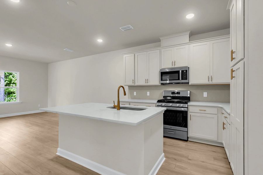 Similar Palmetto floorplan with Serene Collection for inspiration - features may vary