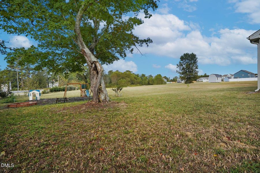 29-web-or-mls-94 Bonnie Girl Ct-134