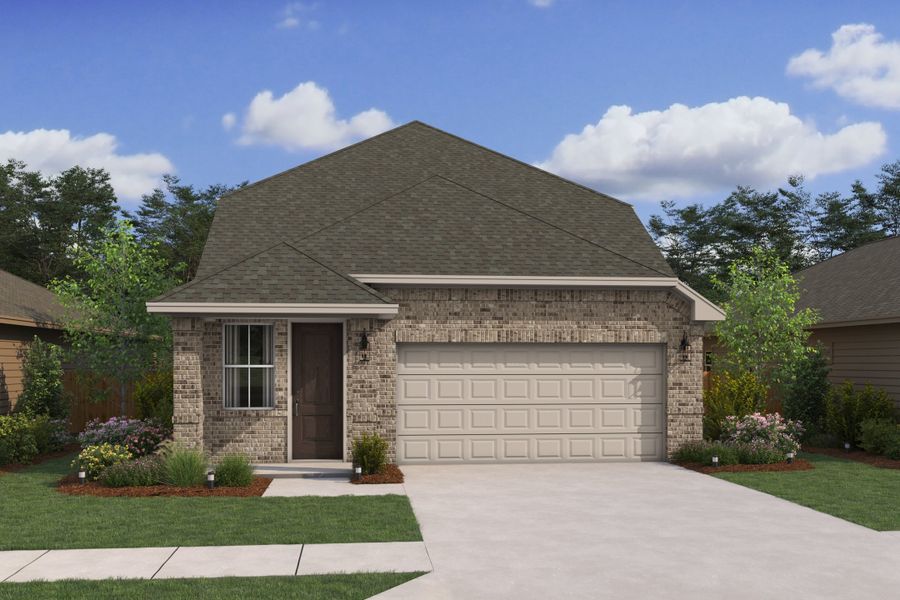 Spanish Cedar NN Spanish Cedar NN