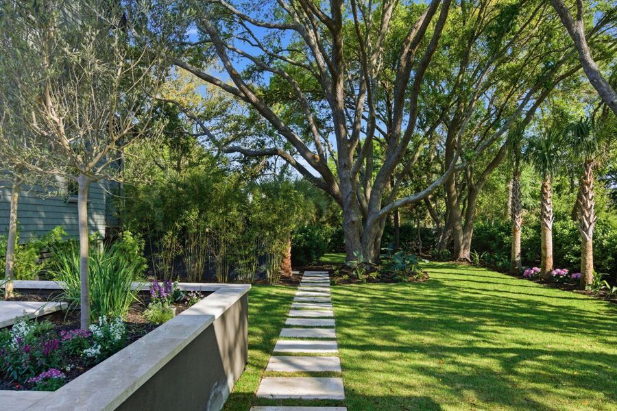 Natural landscape and outdoor views near  in Sullivan's Island (Image 40).