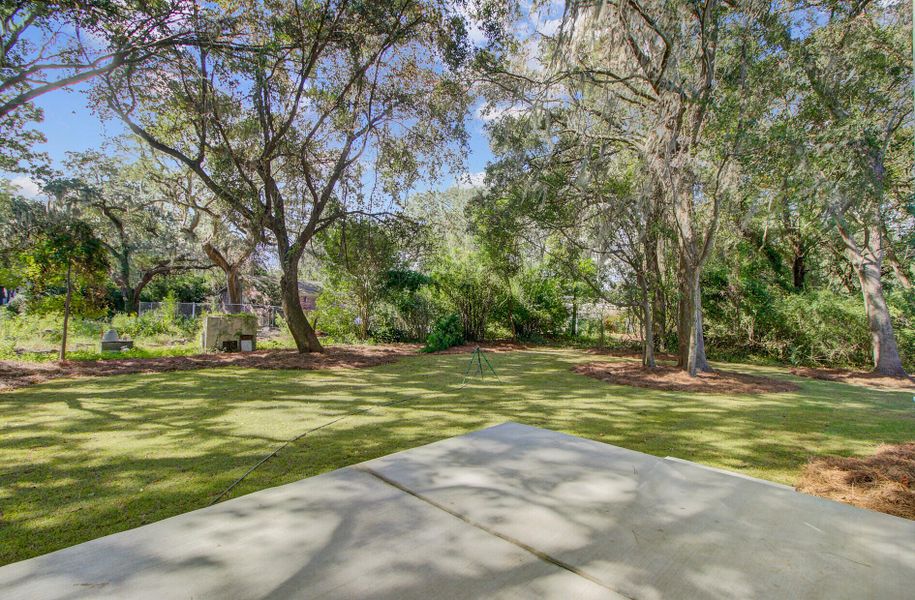 Natural landscape and outdoor views near  in Charleston (Image 33).