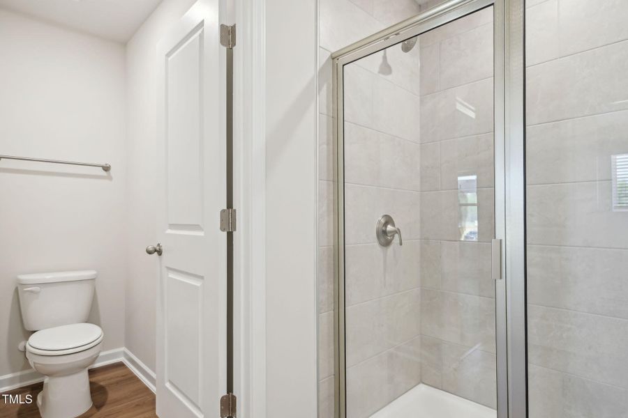 Thorton Refined (22)