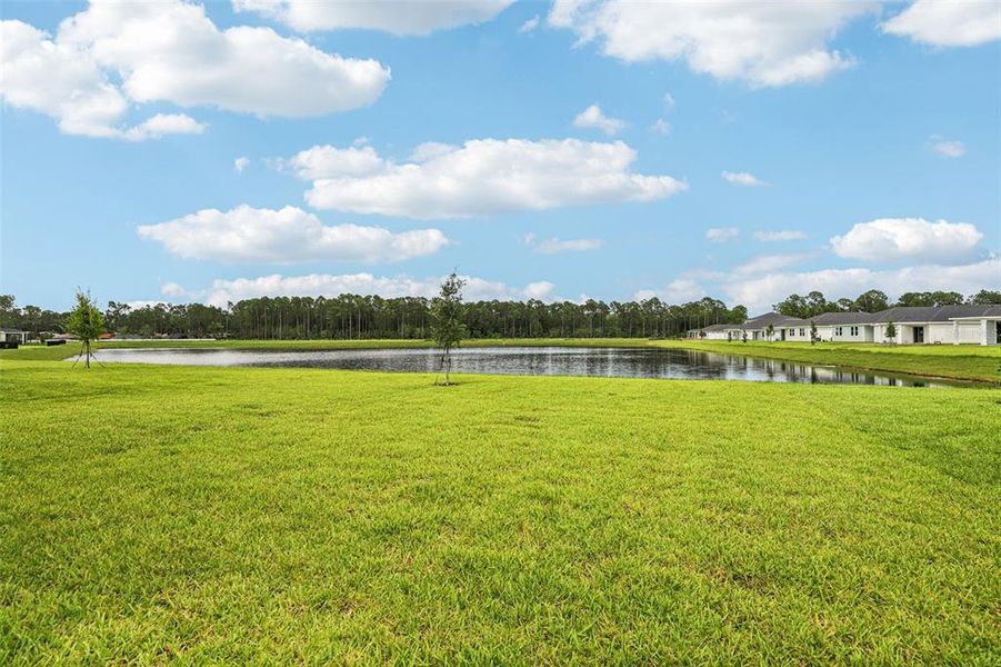 Natural landscape and outdoor views near Flagler Village - Signature Series in Palm Coast (Image 39). Natural landscape and outdoor views near Flagler Village - Signature Series in Palm Coast (Image 39).