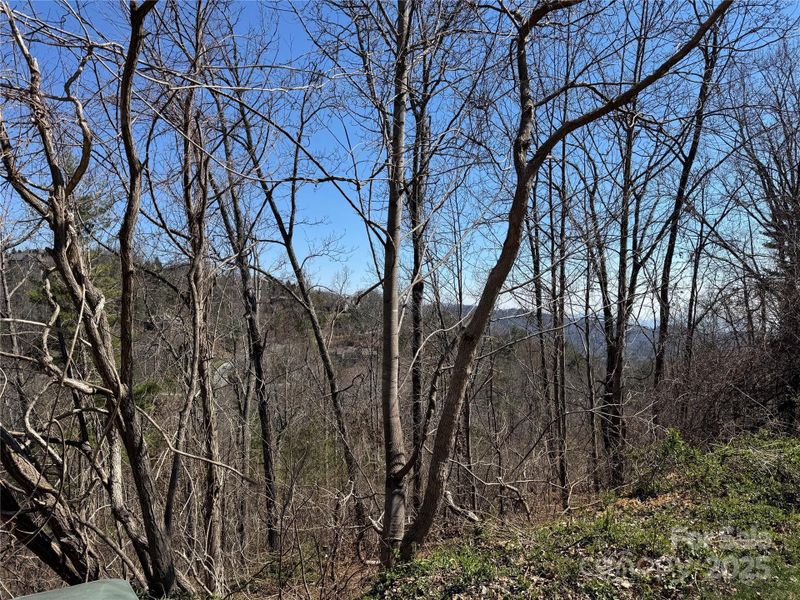 Natural landscape and outdoor views near  in Asheville (Image 5).