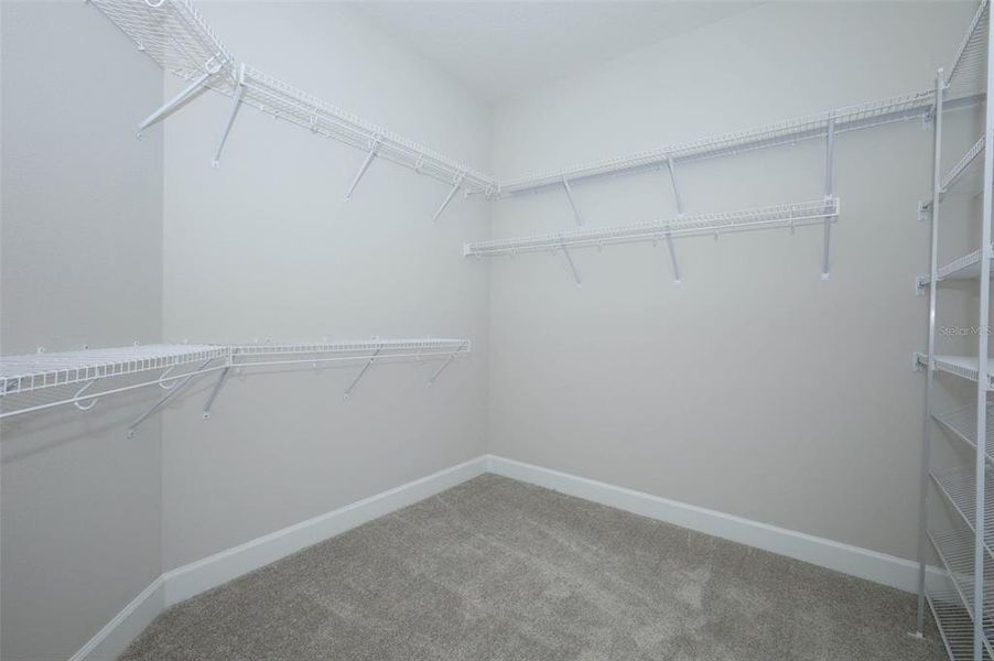 Spacious, unfurnished interior of a new home in Wolf Lake Ranch, Apopka (Image 31).