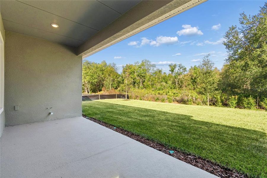 Exterior details and patio area of a home in Chapel Crossings, Wesley Chapel (Image 23).