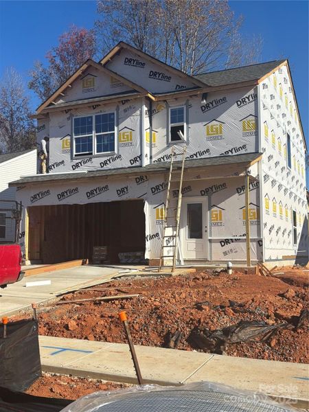 Actual/Current Photo