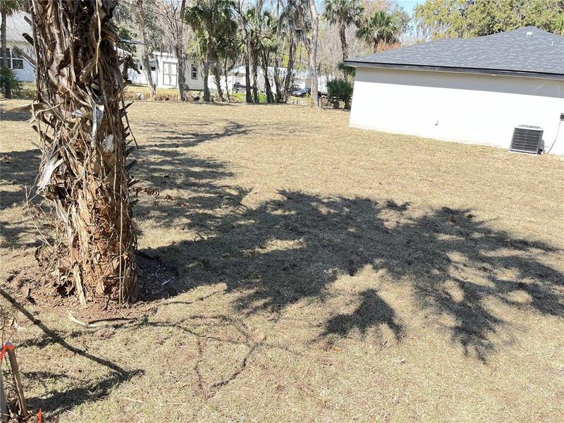 Natural landscape and outdoor views near  in Edgewater (Image 21).