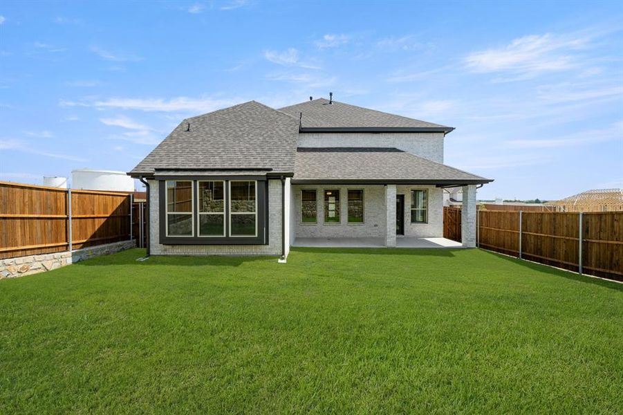 221 Whitetail- Back-2