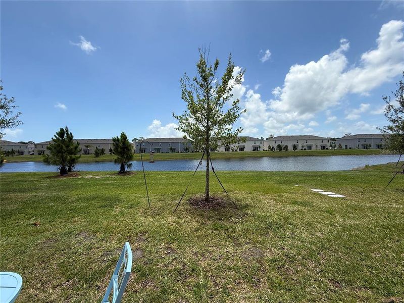 Natural landscape and outdoor views near  in Edgewater (Image 25).