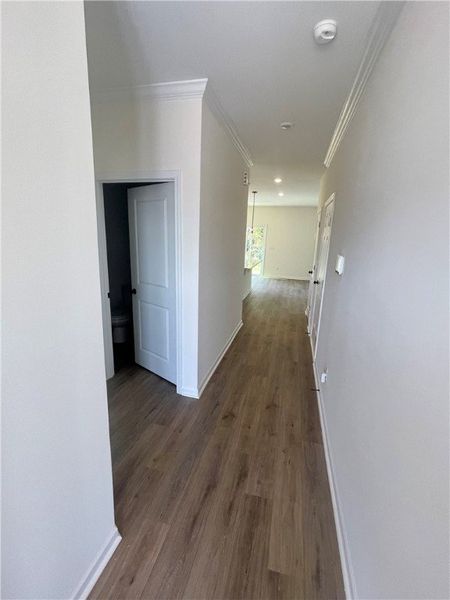 Spacious, unfurnished interior of a new home in Springwood Grove, Central (Image 16).