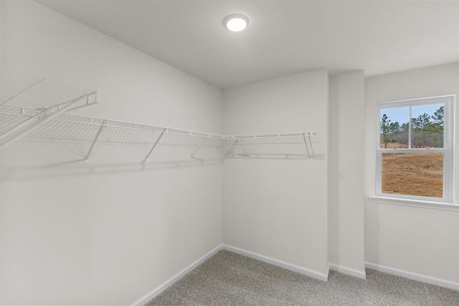 Spacious, unfurnished interior of a new home in Halton Oaks, Spartanburg (Image 26).