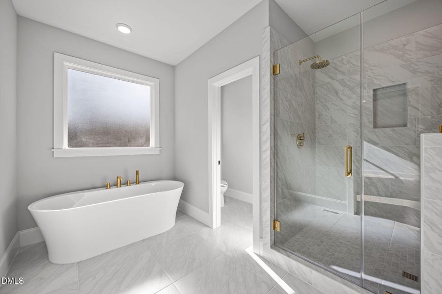 26-web-or-mls-2N6A4416