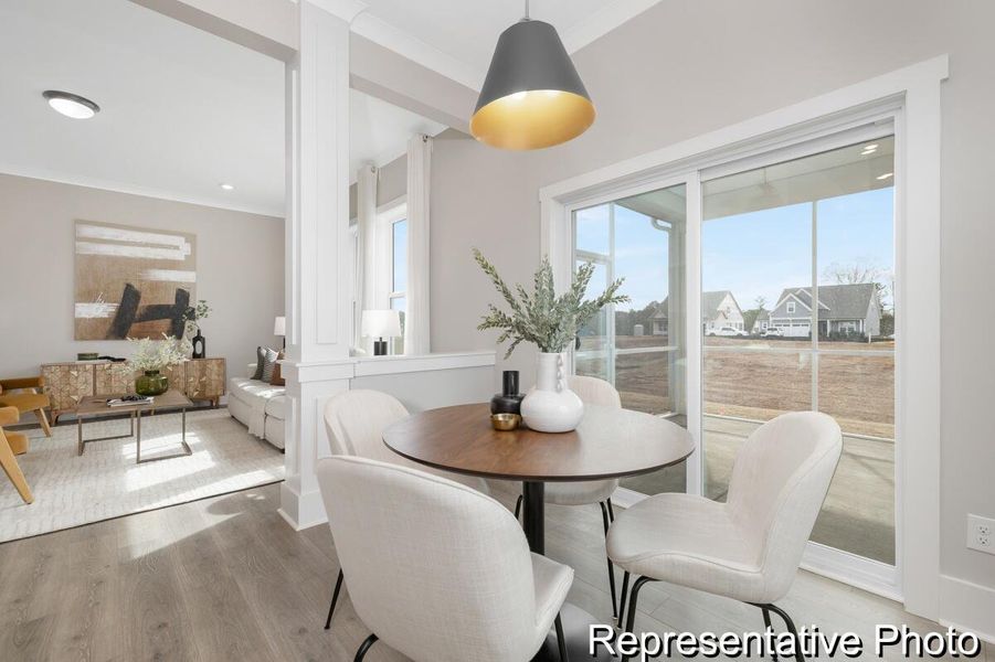 Furnished interior view inside a new home in , Ridgeville (Image 26).
