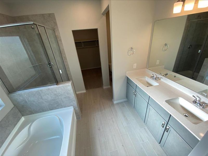 Master Bath
