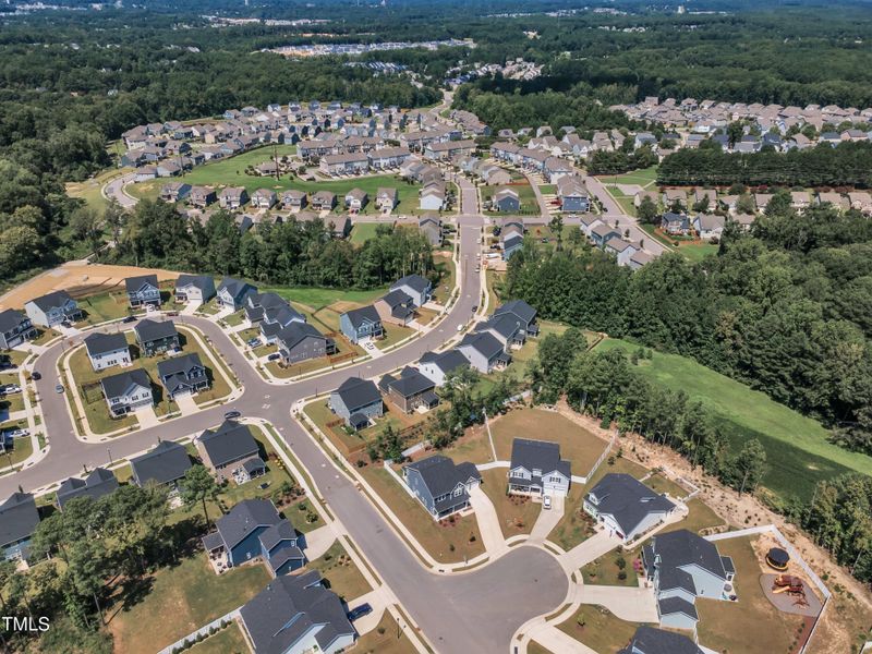 56-1301 Rose Finch-7