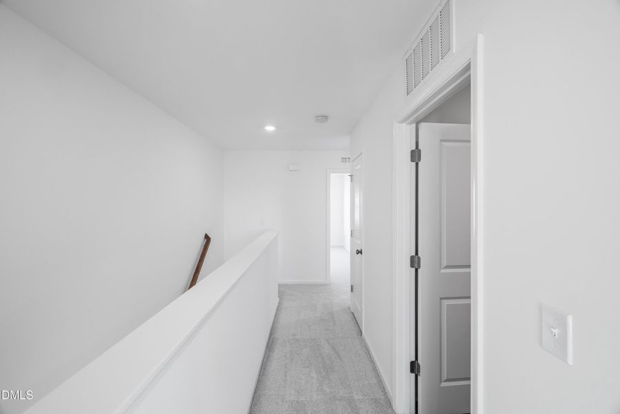 SUN_LawsonTownes_Pic_Cameron_Hall_1of1