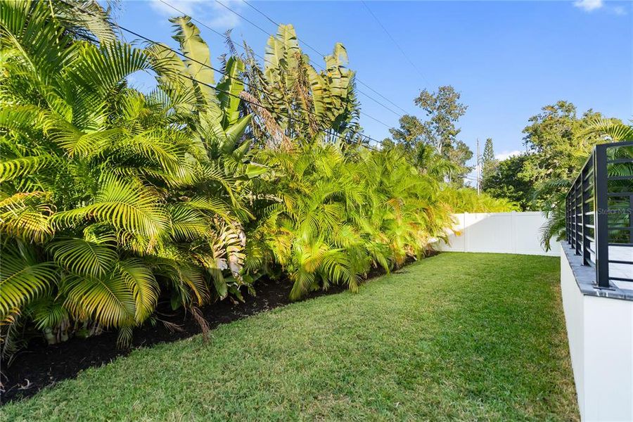 Natural landscape and outdoor views near  in Sarasota (Image 69).