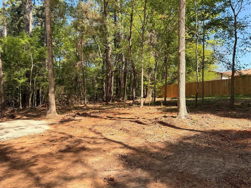 Natural landscape and outdoor views near  in Quitman (Image 19).